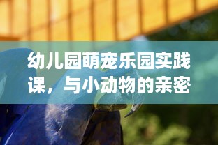 幼儿园萌宠乐园实践课，与小动物的亲密接触