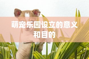 萌宠乐园设立的意义和目的