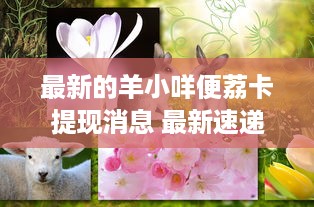 最新的羊小咩便荔卡提现消息 最新速递羊小咩便荔卡提现攻略，轻松提现，福利满满！