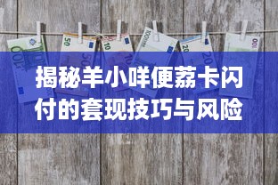揭秘羊小咩便荔卡闪付的套现技巧与风险防范（附详细操作指南+真实案例）
