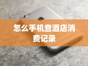 怎么手机查酒店消费记录