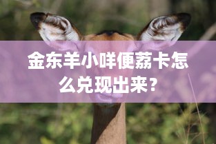 金东羊小咩便荔卡怎么兑现出来？