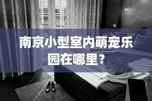 南京小型室内萌宠乐园在哪里？