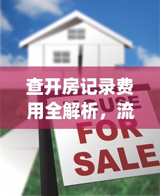 查开房记录费用全解析，流程、价格、注意事项大公开
