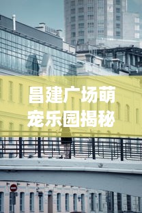 昌建广场萌宠乐园揭秘