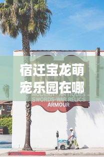 宿迁宝龙萌宠乐园在哪里？