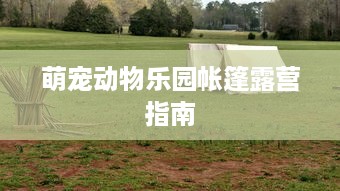 萌宠动物乐园帐篷露营指南