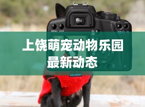 上饶萌宠动物乐园最新动态