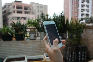iPhone5sQQ聊天记录恢复指南