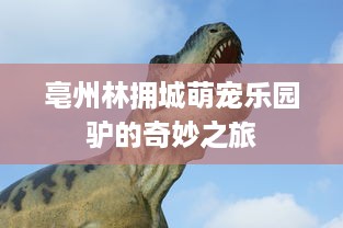 亳州林拥城萌宠乐园驴的奇妙之旅