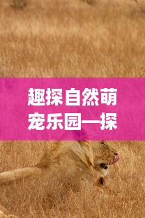 趣探自然萌宠乐园—探索动物世界的奇妙之旅