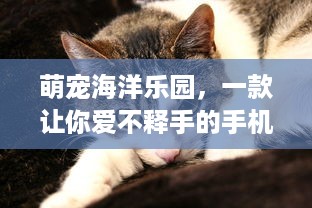 萌宠海洋乐园，一款让你爱不释手的手机游戏