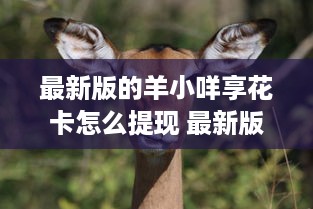 最新版的羊小咩享花卡怎么提现 最新版羊小咩享花卡提现攻略，轻松变现，让你花得更开心！