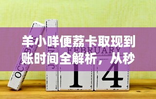 羊小咩便荔卡取现到账时间全解析，从秒到天数的秘密