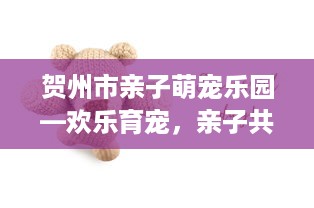 贺州市亲子萌宠乐园—欢乐育宠，亲子共筑美好时光