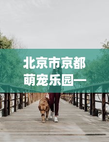 北京市京都萌宠乐园—宠物爱好者的乐园
