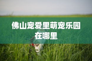 佛山宠爱里萌宠乐园在哪里