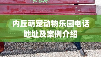 内丘萌宠动物乐园电话地址及案例介绍