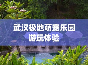 武汉极地萌宠乐园游玩体验