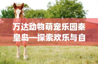 万达动物萌宠乐园秦皇岛—探索欢乐与自然的完美结合