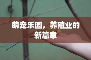 萌宠乐园，养殖业的新篇章