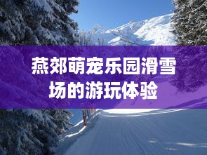燕郊萌宠乐园滑雪场的游玩体验