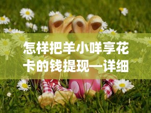 怎样把羊小咩享花卡的钱提现—详细步骤与案例解析