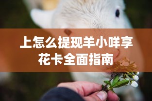 上怎么提现羊小咩享花卡全面指南