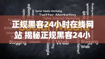 正规黑客24小时在线网站 揭秘正规黑客24小时在线网站，揭秘神秘世界的真实面貌
