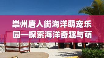 崇州唐人街海洋萌宠乐园—探索海洋奇趣与萌宠乐园的完美结合