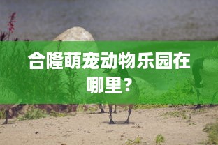 合隆萌宠动物乐园在哪里？