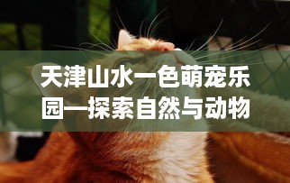 天津山水一色萌宠乐园—探索自然与动物的和谐共处