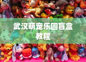 武汉萌宠乐园盲盒教程