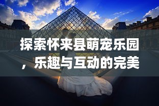 探索怀来县萌宠乐园，乐趣与互动的完美结合