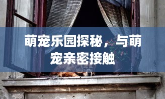 萌宠乐园探秘，与萌宠亲密接触