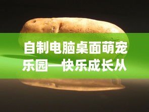 自制电脑桌面萌宠乐园—快乐成长从这里开始