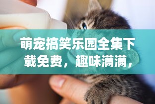 萌宠搞笑乐园全集下载免费，趣味满满，宠物欢乐不停歇