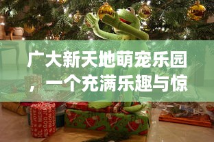 广大新天地萌宠乐园，一个充满乐趣与惊喜的宠物天堂