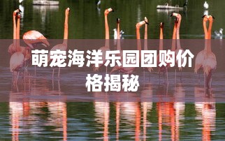 萌宠海洋乐园团购价格揭秘