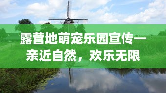 露营地萌宠乐园宣传—亲近自然，欢乐无限