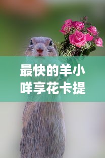 最快的羊小咩享花卡提现 羊小咩享花卡，提现速度飞起，快来体验！