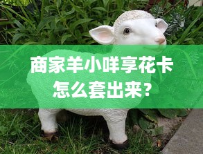 商家羊小咩享花卡怎么套出来？