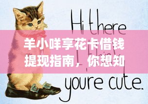 羊小咩享花卡借钱提现指南，你想知道的都在这儿