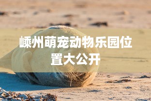 嵊州萌宠动物乐园位置大公开