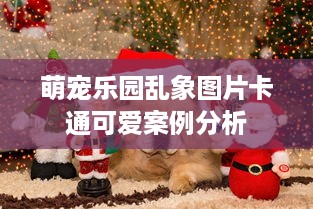 萌宠乐园乱象图片卡通可爱案例分析
