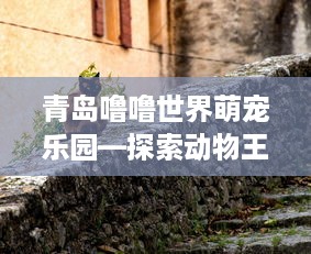 青岛噜噜世界萌宠乐园—探索动物王国的奇妙之旅