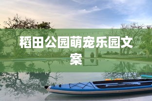京东白条收款几天提现到账啊 京东白条收款提现到账时间揭秘，让你轻松了解！