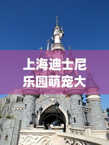 上海迪士尼乐园萌宠大集结，可爱萌宠的魅力与故事