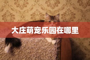大庄萌宠乐园在哪里
