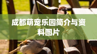 成都萌宠乐园简介与资料图片